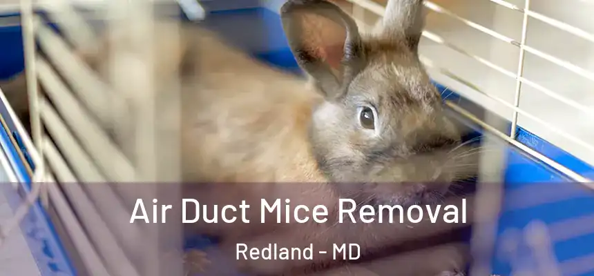  Air Duct Mice Removal Redland - MD