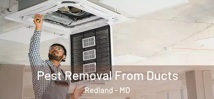  Pest Removal From Ducts Redland - MD