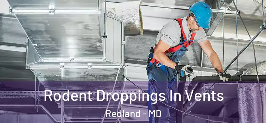  Rodent Droppings In Vents Redland - MD
