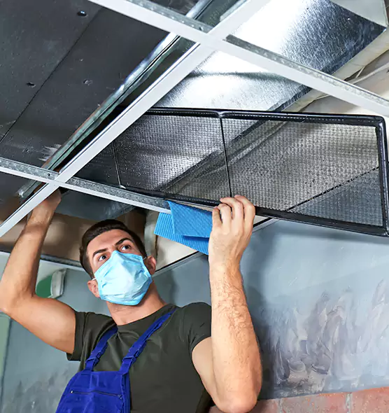Professional Air Duct Pollen Cleaning in Redland, MD