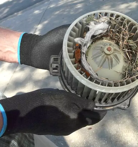 About Air Duct Rat Removal in Redland, MD